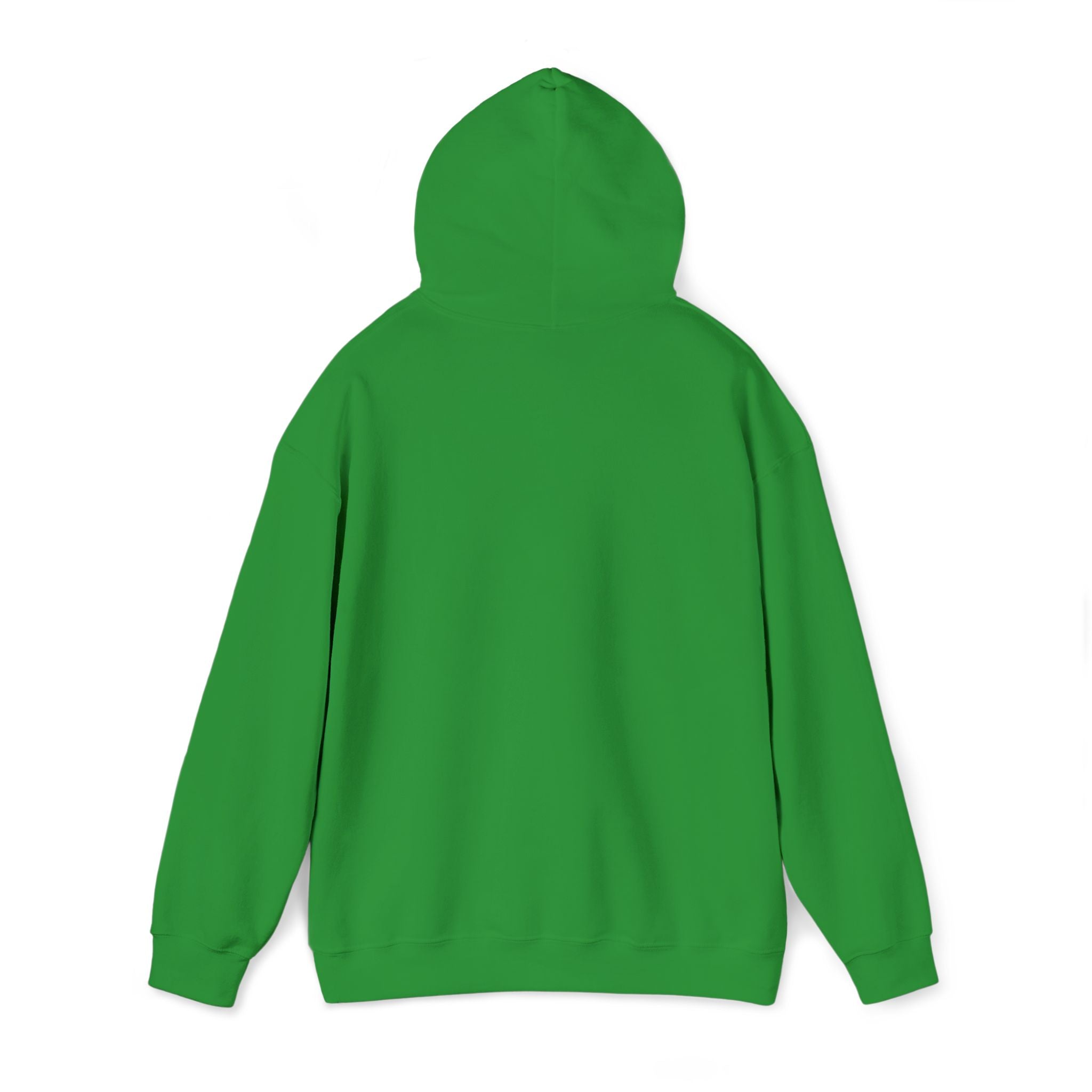 Hooded Sweatshirt -Hemming Aviation Logo (embroidered)
