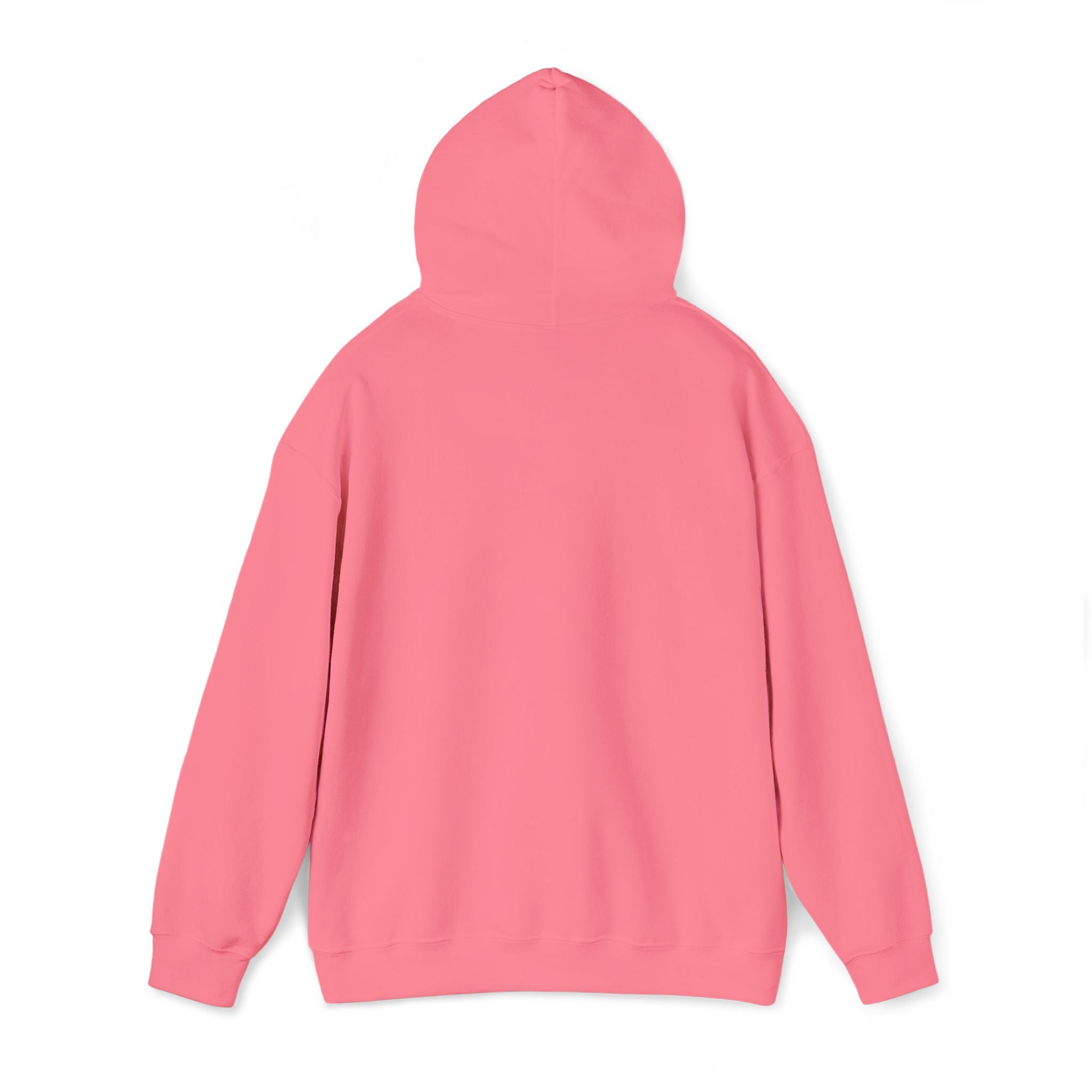 Hooded Sweatshirt -Hemming Aviation Logo (embroidered)