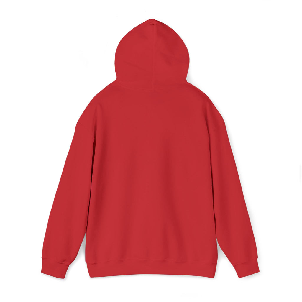 Hooded Sweatshirt -Hemming Aviation Logo (embroidered)