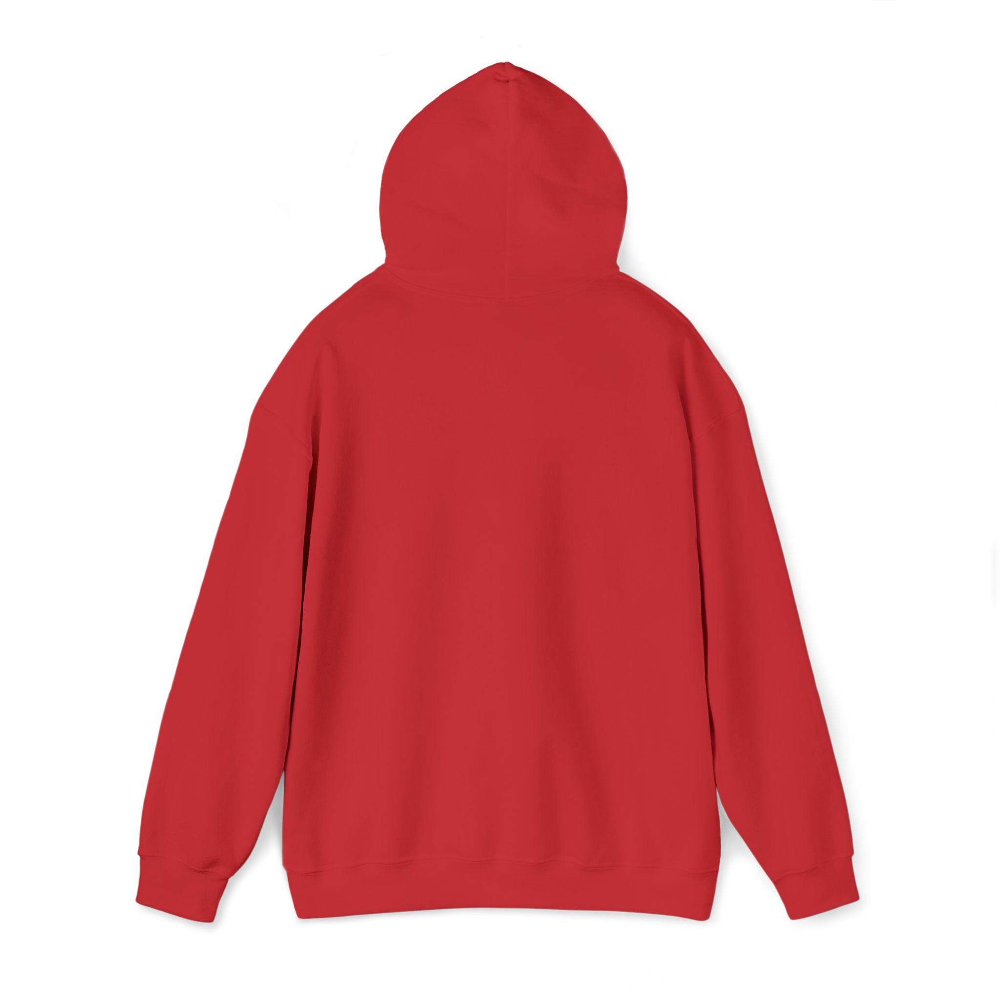 Hooded Sweatshirt -Hemming Aviation Logo (embroidered)