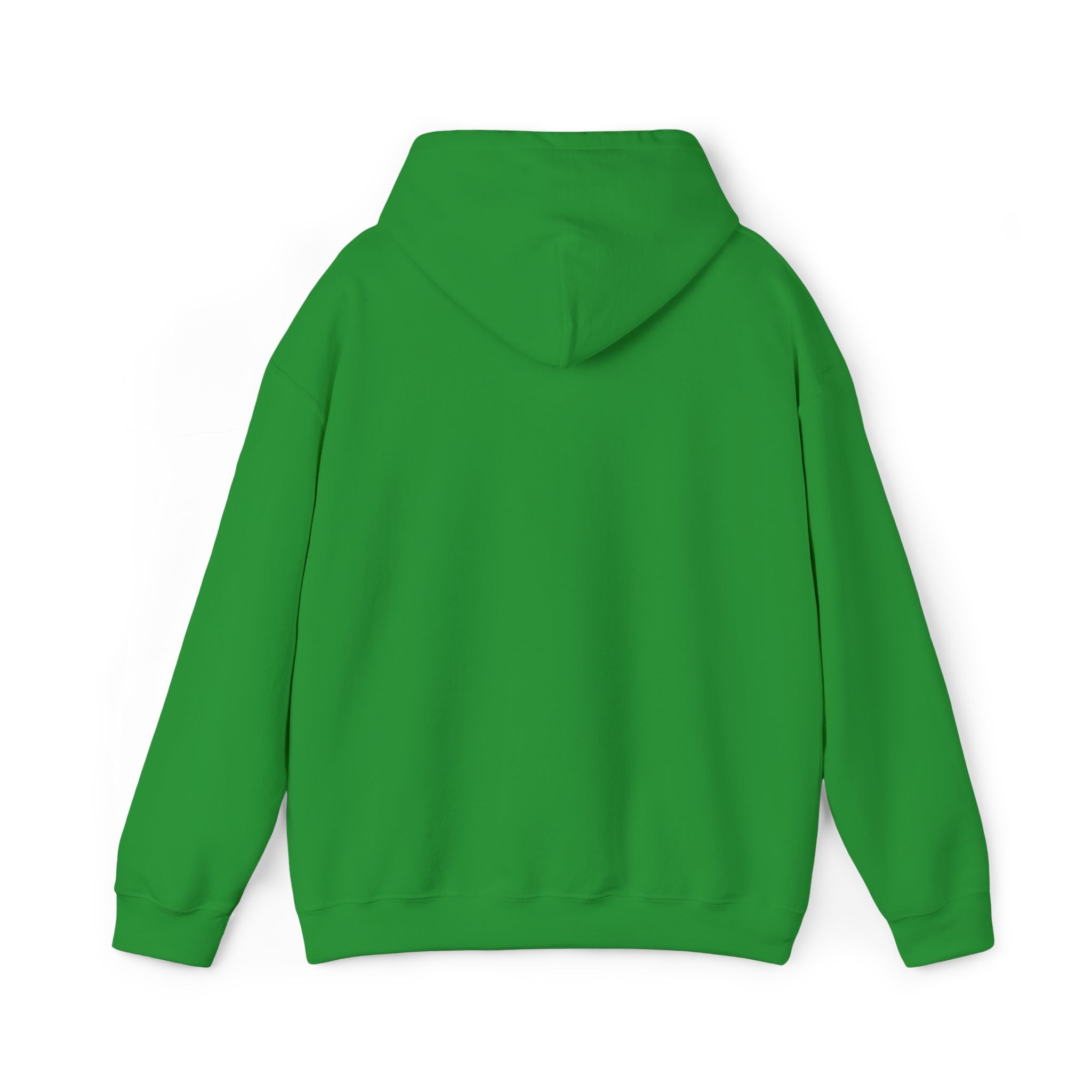 Hooded Sweatshirt -Hemming Aviation Logo (embroidered)