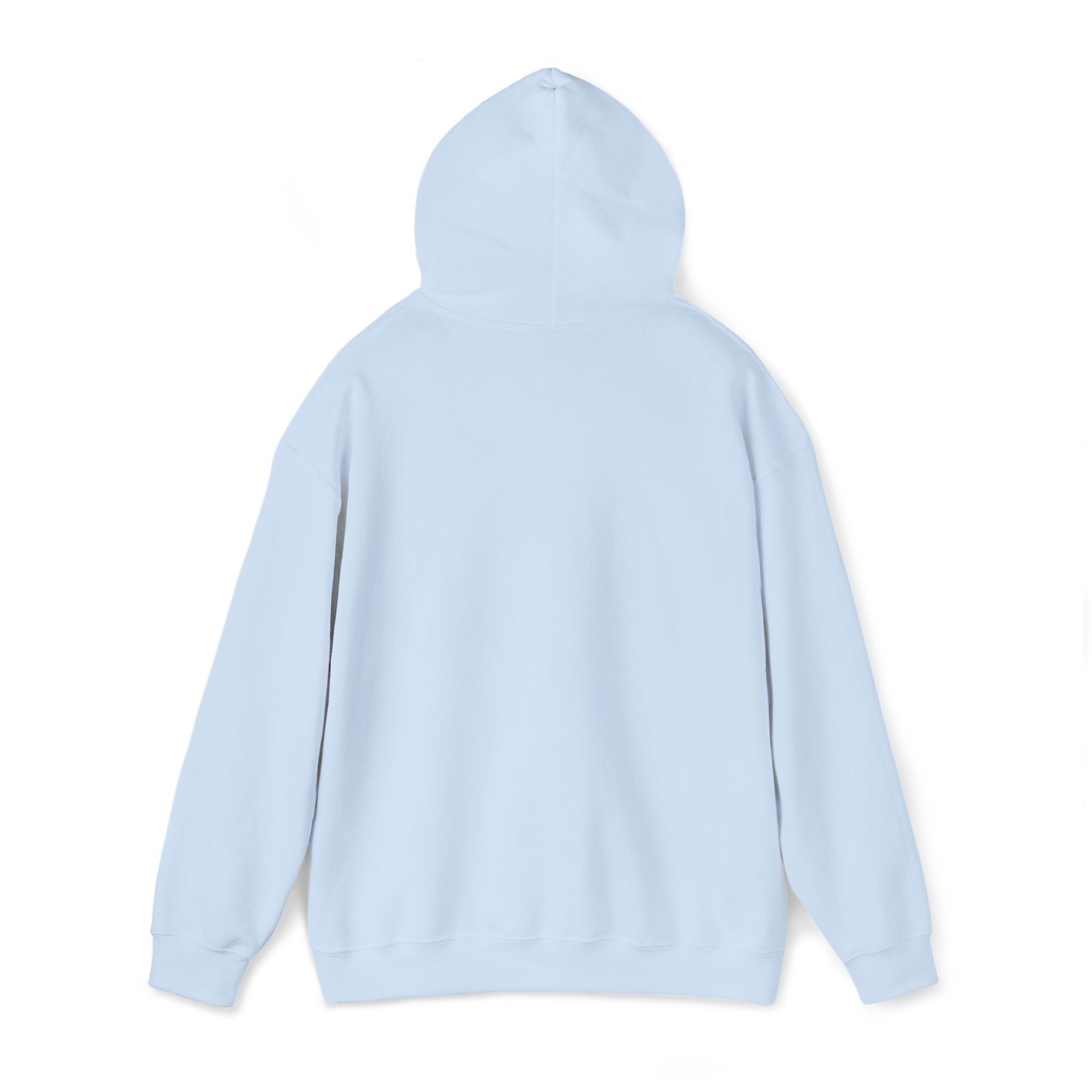 Hooded Sweatshirt -Hemming Aviation Logo (embroidered)