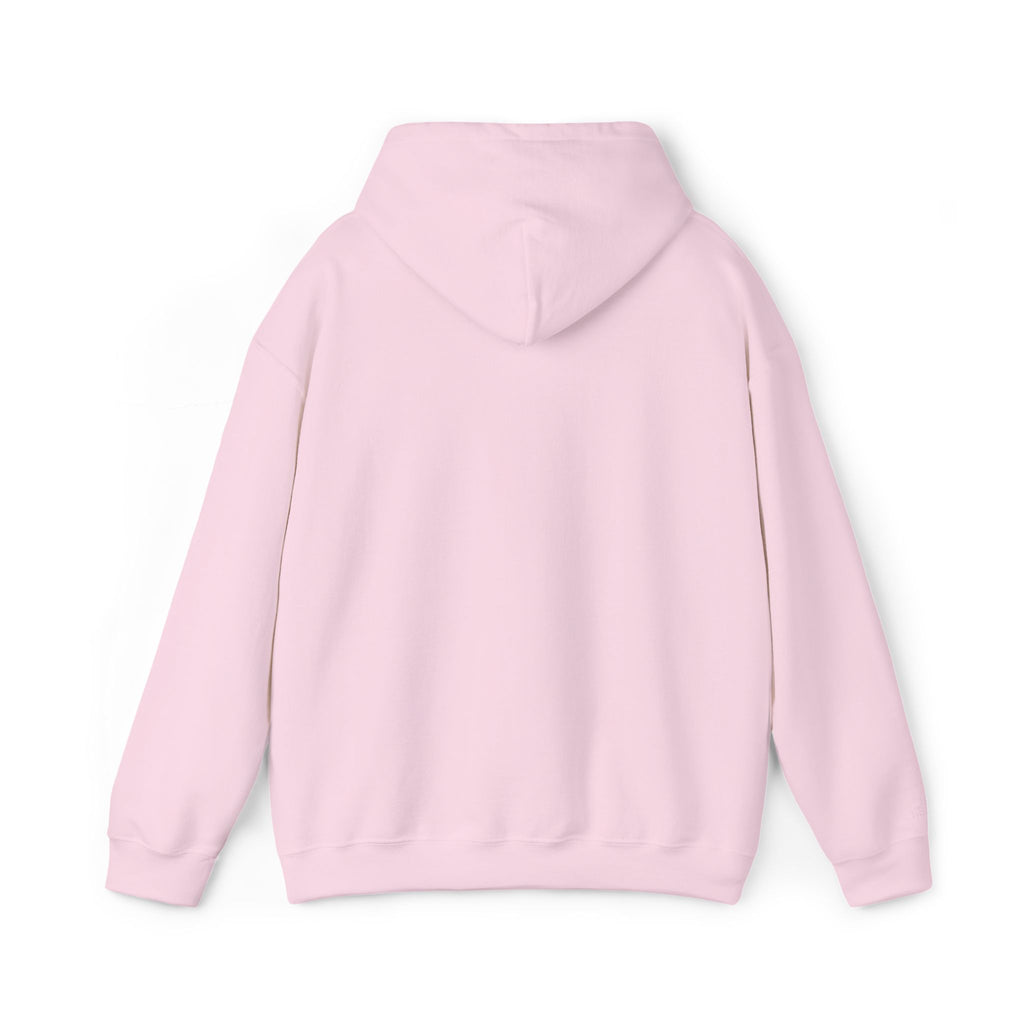 Hooded Sweatshirt -Hemming Aviation Logo (embroidered)