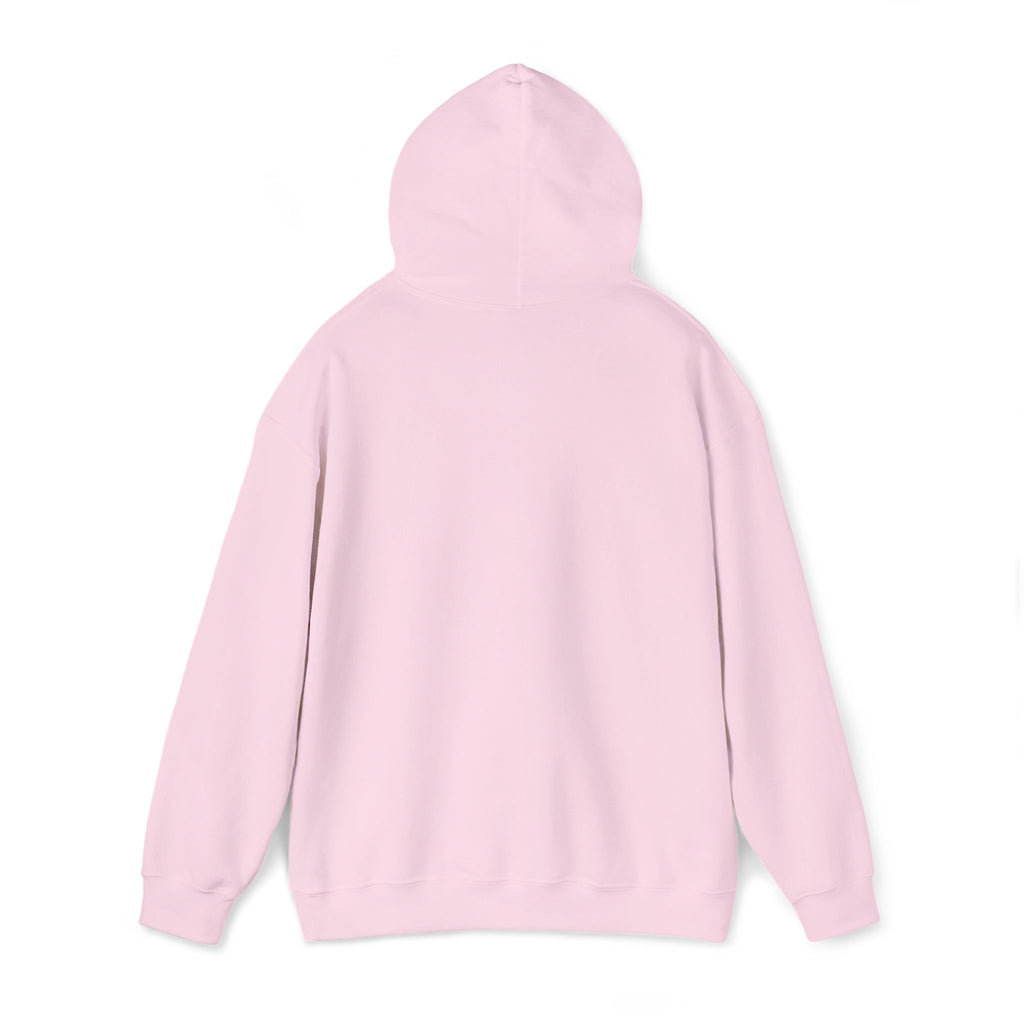 Hooded Sweatshirt -Hemming Aviation Logo (embroidered)