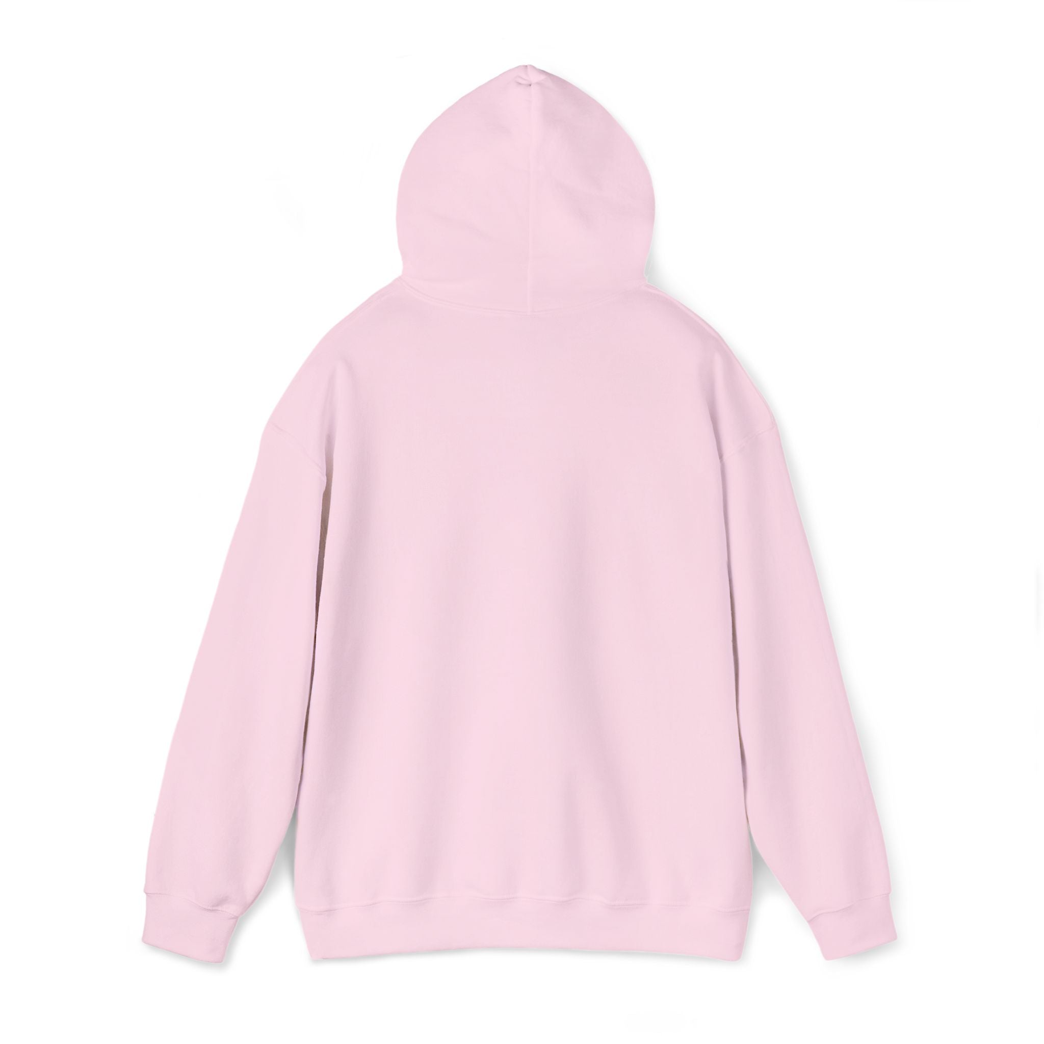 Hooded Sweatshirt -Hemming Aviation Logo (embroidered)
