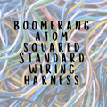 Standard Harness for a Boomerang Atom Squared