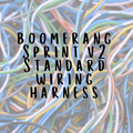 Standard Harness for a Boomerang Sprint V2