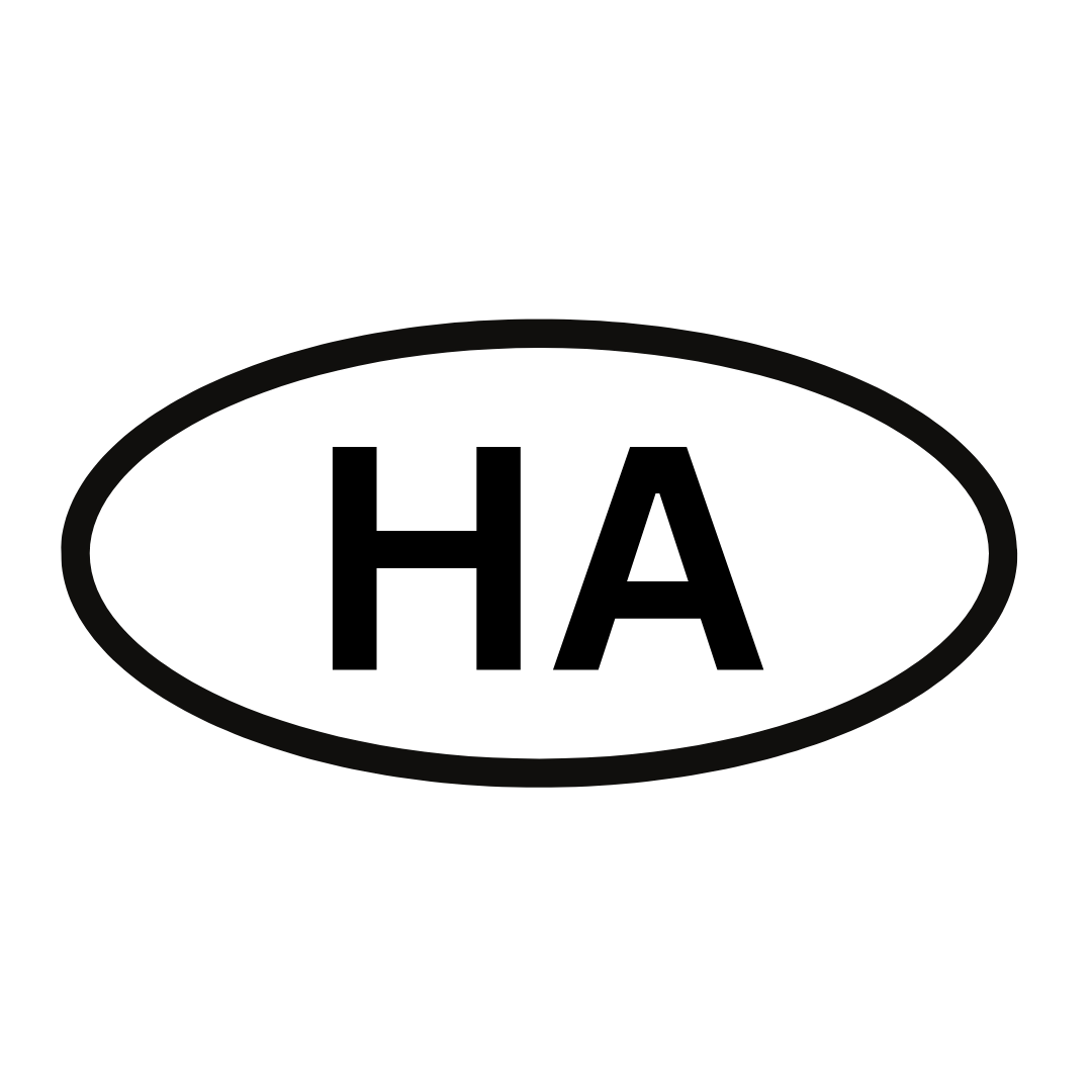 Hemming Aviation Oval Sticker