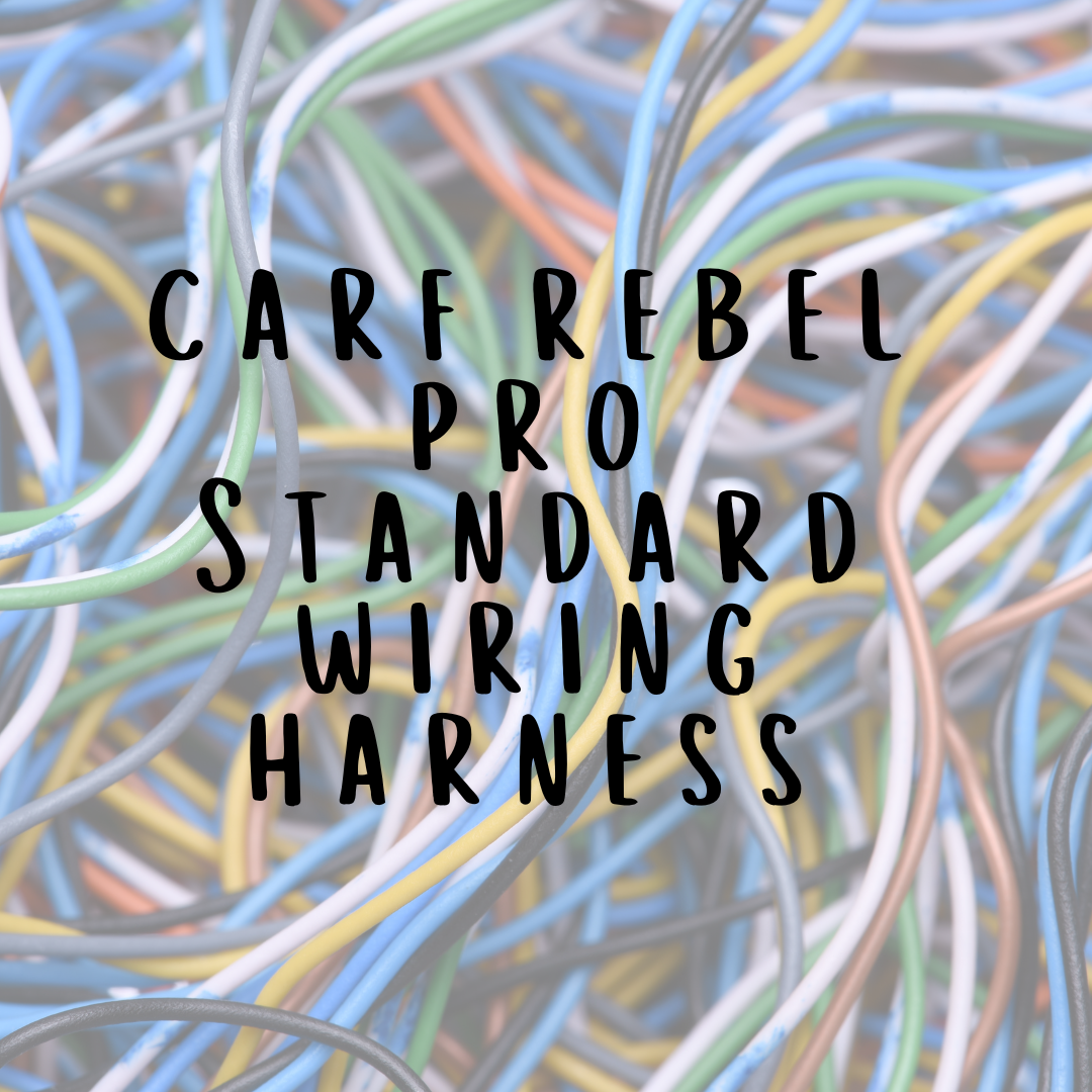 Standard Harness for a Carf Rebel Max
