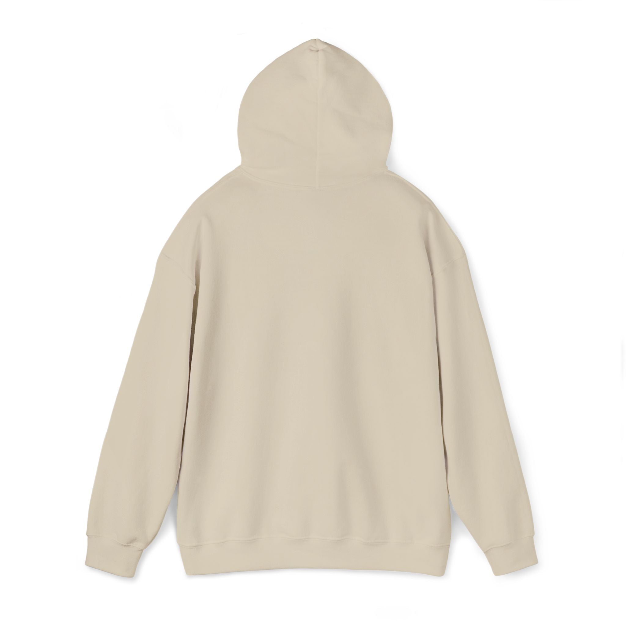 Hooded Sweatshirt -Hemming Aviation Logo (embroidered)