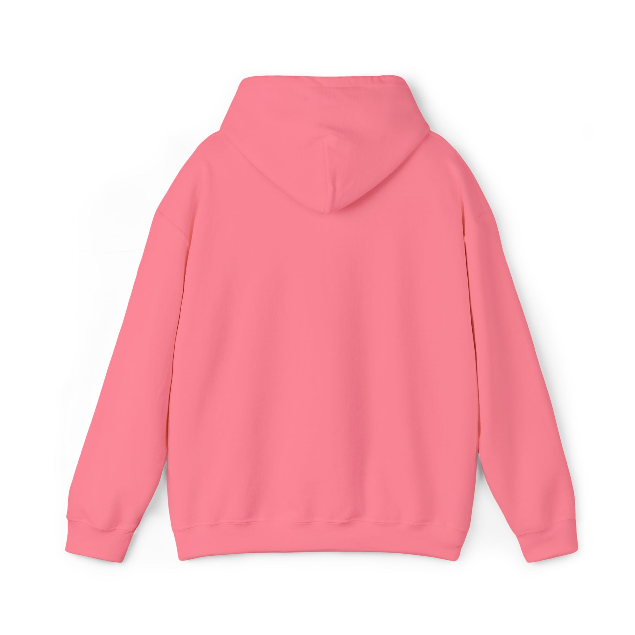 Hooded Sweatshirt -Hemming Aviation Logo (embroidered)