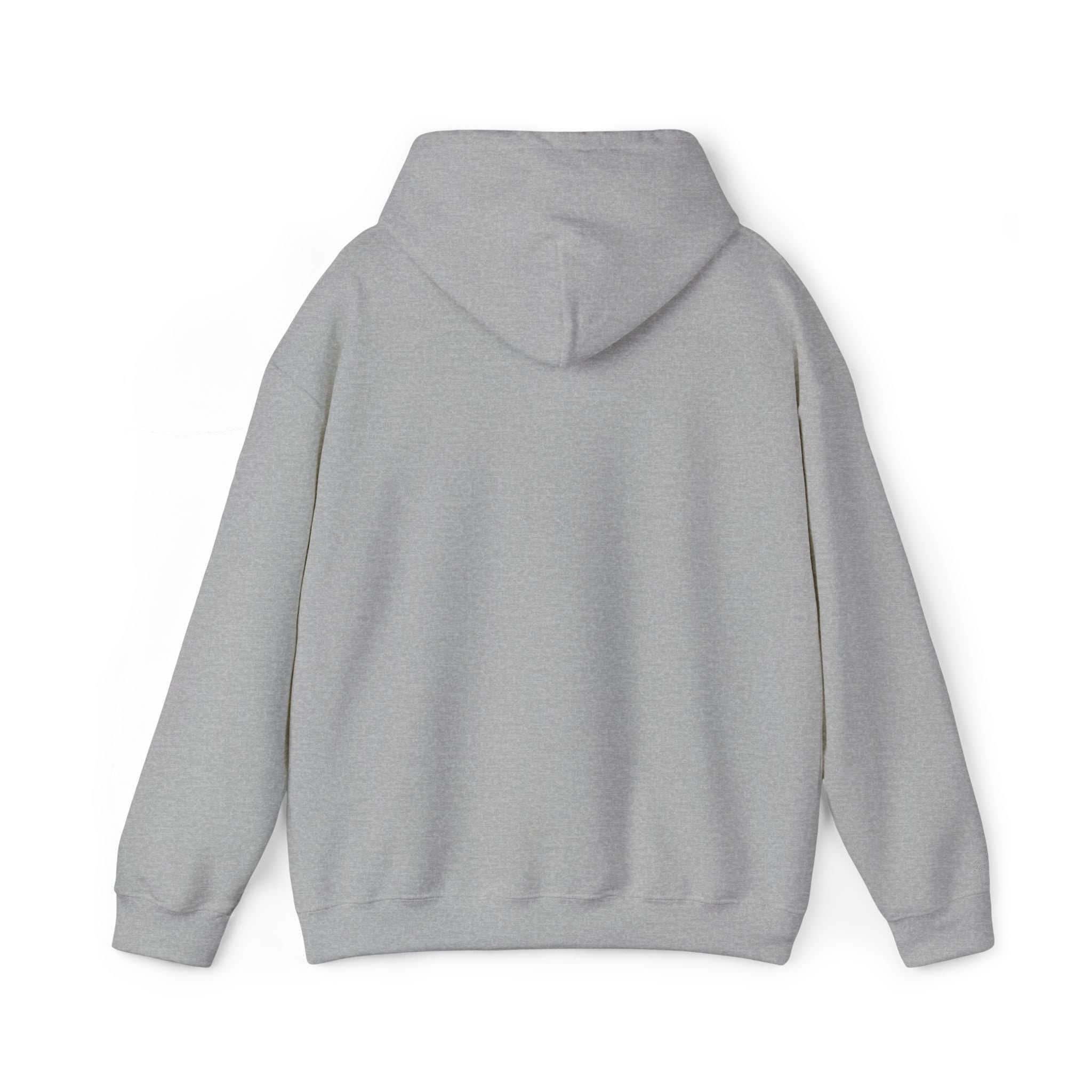 Hooded Sweatshirt -Hemming Aviation Logo (embroidered)