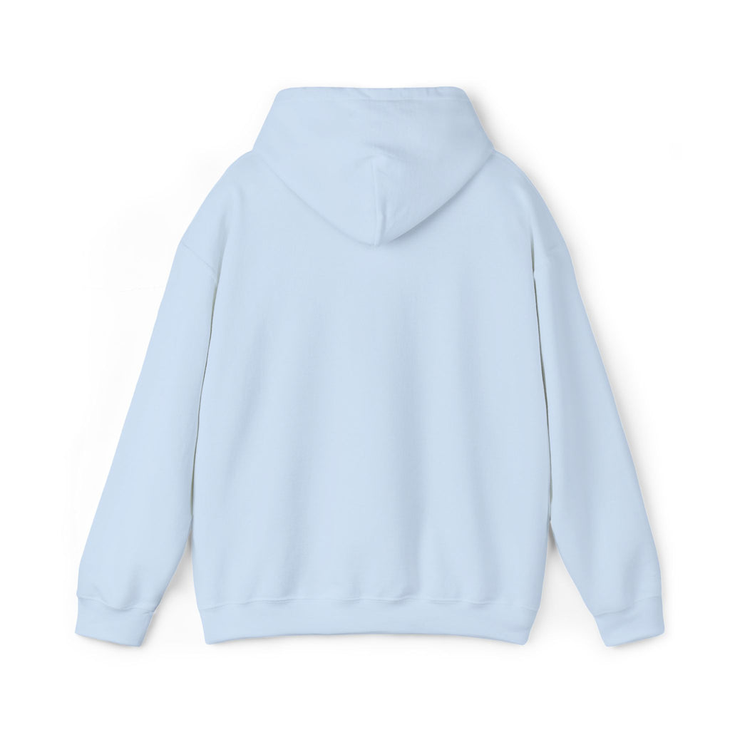 Hooded Sweatshirt -Hemming Aviation Logo (embroidered)