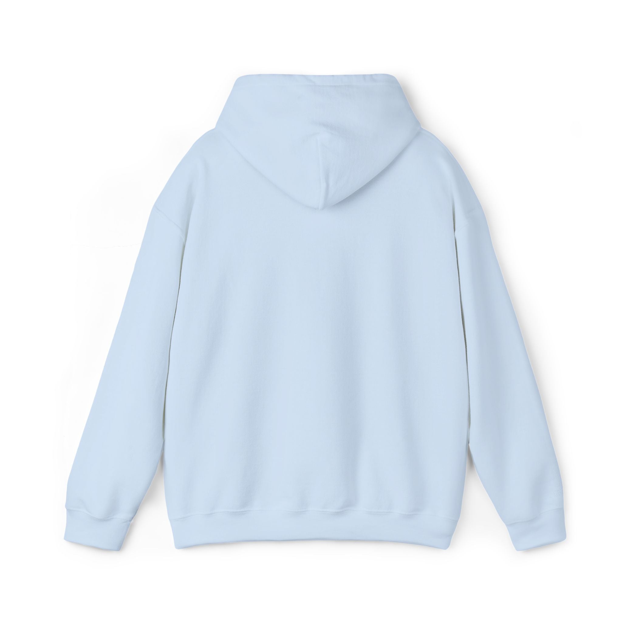 Hooded Sweatshirt -Hemming Aviation Logo (embroidered)