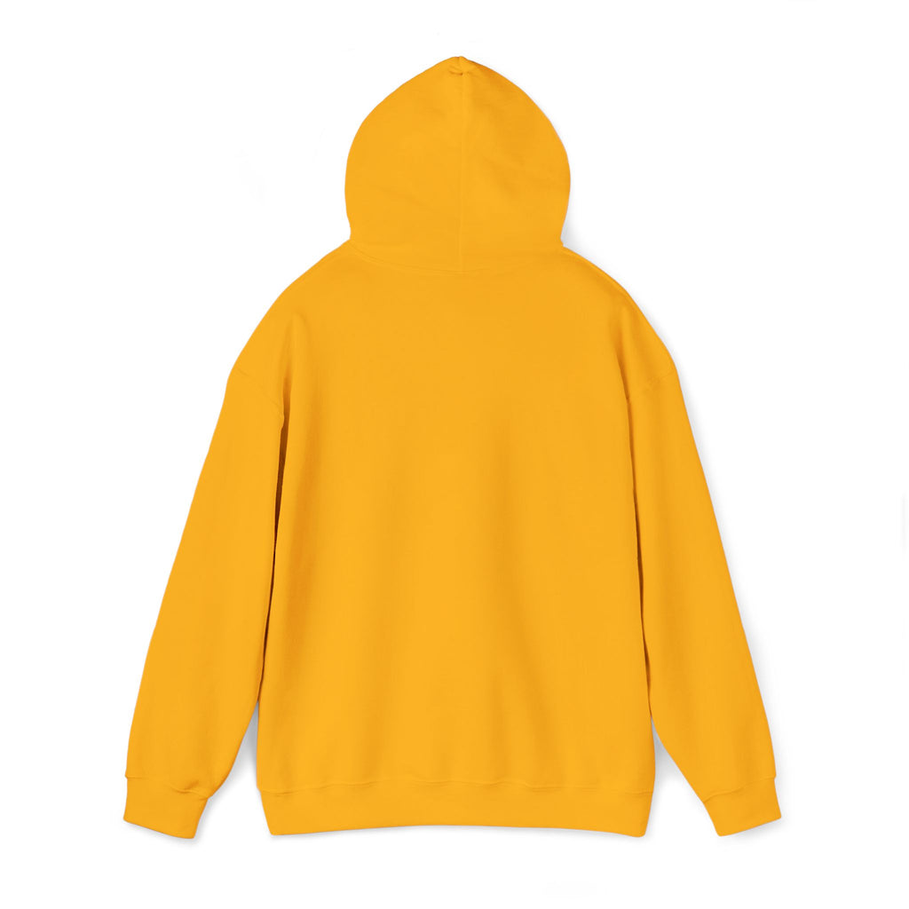 Hooded Sweatshirt -Hemming Aviation Logo (embroidered)