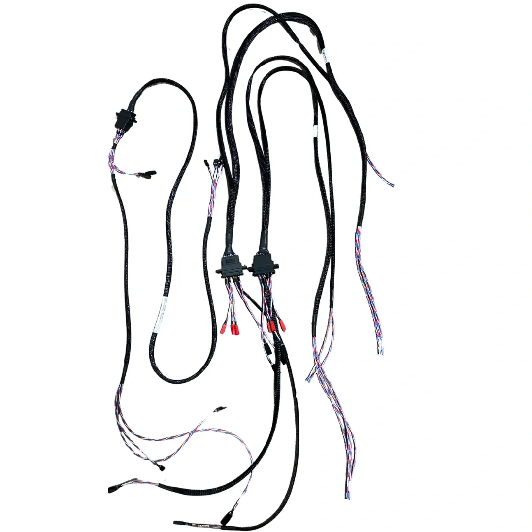 Standard Harness for a Boomerang Atom Squared